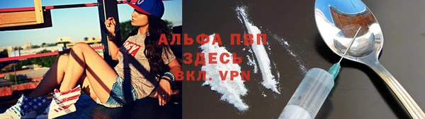 спиды Аркадак