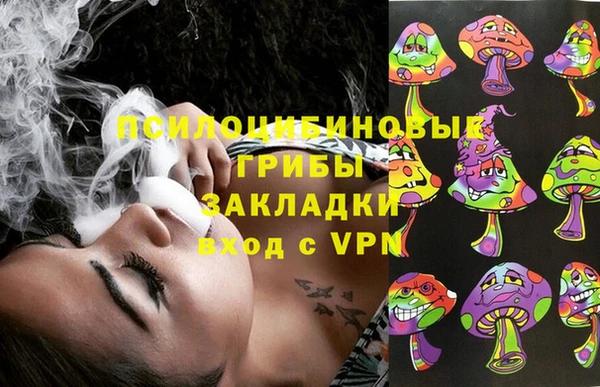 спиды Аркадак