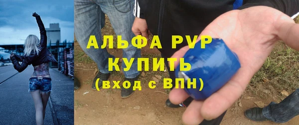 спиды Аркадак