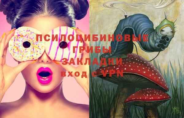ешки Арсеньев